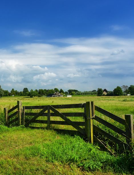 Barkston Ash village